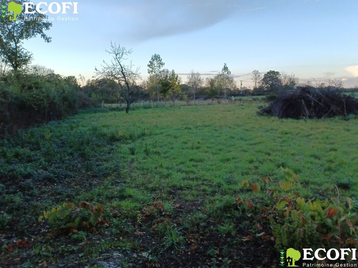 Terrain à vendre - Argentonnay Terrain/Étang|Terrain/Étang