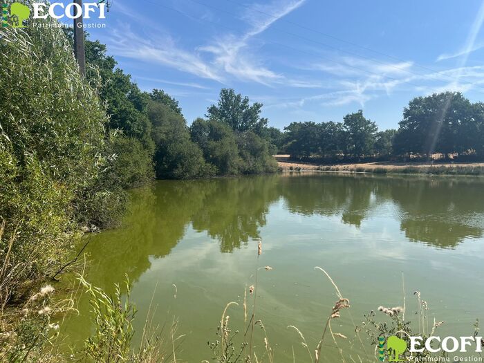 Longère à rénover à vendre - Bressuire Longère/Grange/Propriété|Longère/Grange/Propriété