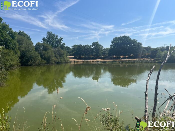 Longère à rénover à vendre - Bressuire Longère/Grange/Propriété|Longère/Grange/Propriété