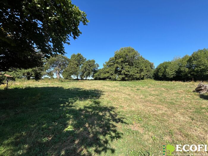 Ensemble immobilier à vendre - Moncoutant sur Sèvre / La Chapelle Saint Laurent Longère/Grange/Propriété|Longère/Grange/Propriété