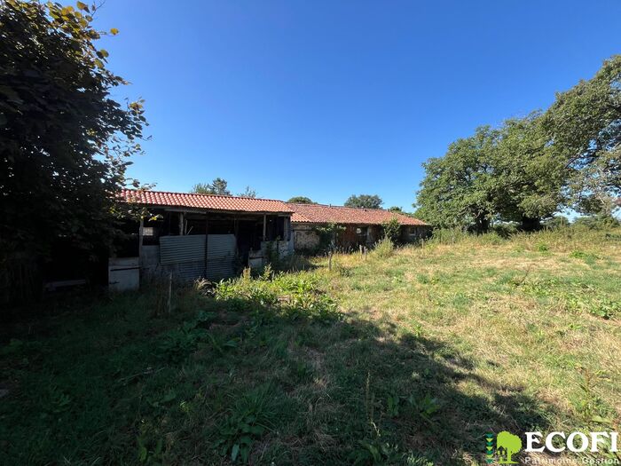 Ensemble immobilier à vendre - Moncoutant sur Sèvre / La Chapelle Saint Laurent Longère/Grange/Propriété|Longère/Grange/Propriété