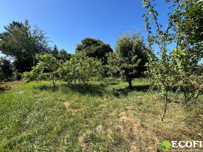 Ensemble immobilier à vendre - Moncoutant sur Sèvre / La Chapelle Saint Laurent Longère/Grange/Propriété|Longère/Grange/Propriété