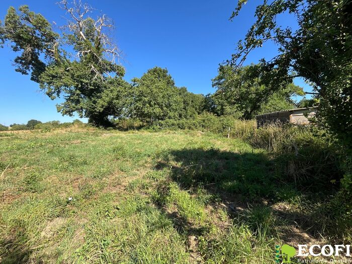 Ensemble immobilier à vendre - Moncoutant sur Sèvre / La Chapelle Saint Laurent Longère/Grange/Propriété|Longère/Grange/Propriété