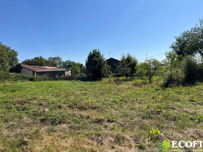 Ensemble immobilier à vendre - Moncoutant sur Sèvre / La Chapelle Saint Laurent Longère/Grange/Propriété|Longère/Grange/Propriété