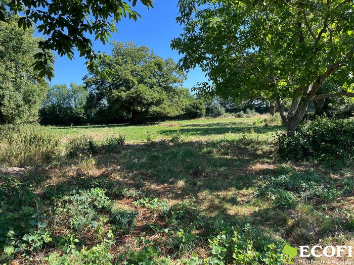 Ensemble immobilier à vendre - Moncoutant sur Sèvre / La Chapelle Saint Laurent Longère/Grange/Propriété|Longère/Grange/Propriété