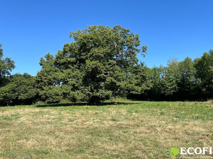 Ensemble immobilier à vendre - Moncoutant sur Sèvre / La Chapelle Saint Laurent Longère/Grange/Propriété|Longère/Grange/Propriété