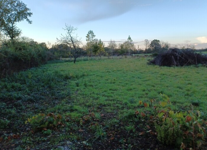 Terrain à vendre - Argentonnay Terrain/Étang|Terrain/Étang