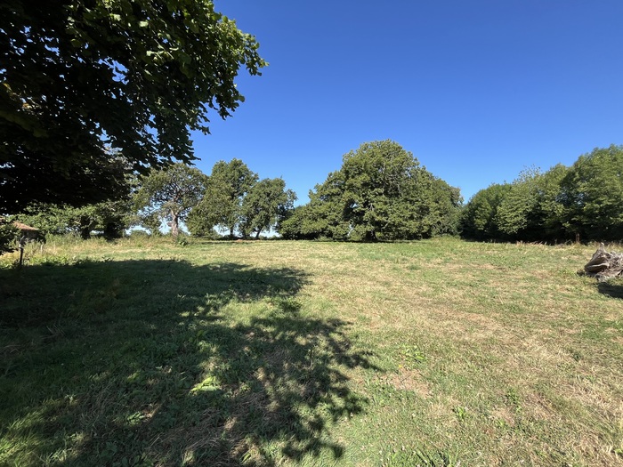 Ensemble immobilier à vendre - Moncoutant sur Sèvre / La Chapelle Saint Laurent |