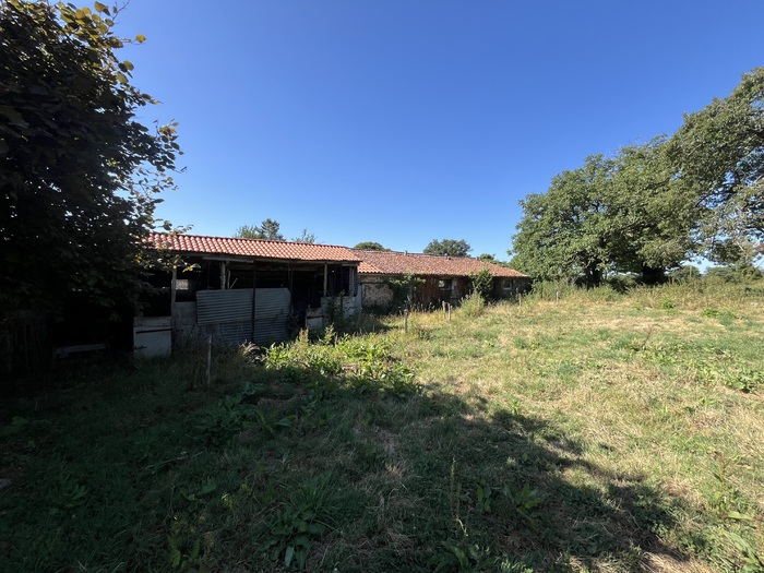 Ensemble immobilier à vendre - Moncoutant sur Sèvre / La Chapelle Saint Laurent |