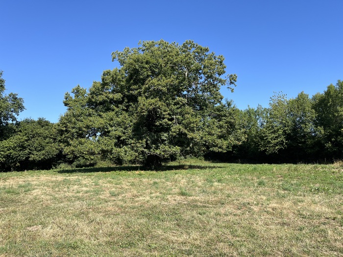 Ensemble immobilier à vendre - Moncoutant sur Sèvre / La Chapelle Saint Laurent |