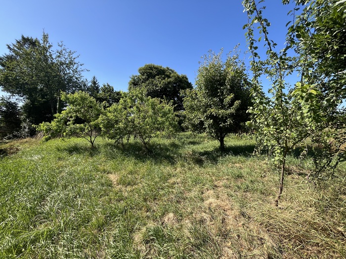 Ensemble immobilier à vendre - Moncoutant sur Sèvre / La Chapelle Saint Laurent |