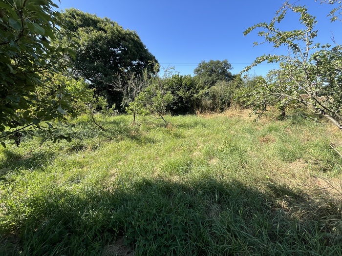 Ensemble immobilier à vendre - Moncoutant sur Sèvre / La Chapelle Saint Laurent |