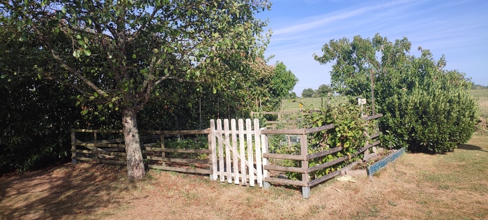 Pavillon de plain-pied à vendre - Bressuire Maison|Maison