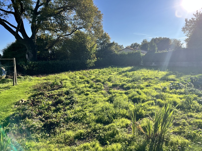 Maison sur sous-sol à vendre - Cerizay Maison|Maison