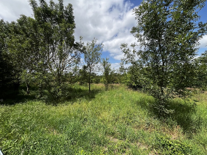 Longère rénovée à vendre - Boismé / Chiché Maison|Maison