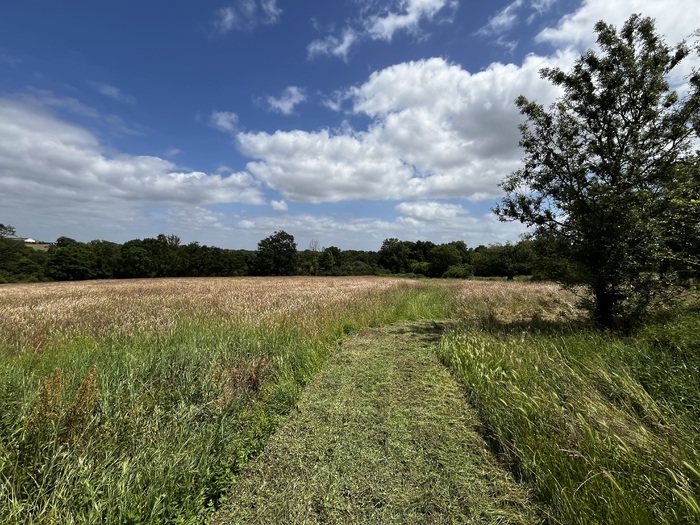 Longère rénovée à vendre - Boismé / Chiché Maison|Maison