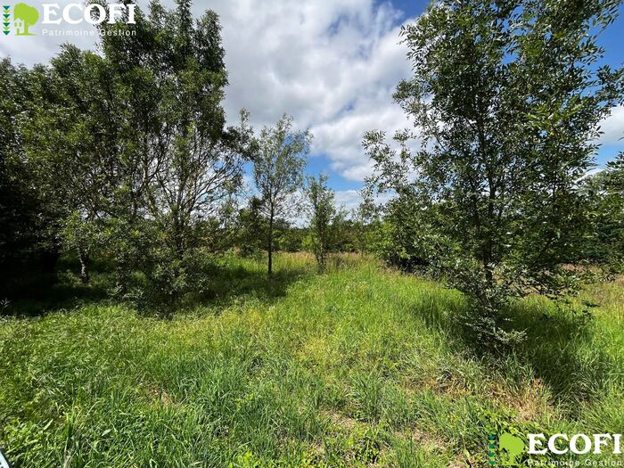 Longère rénovée à vendre - Boismé / Chiché Maison|Maison