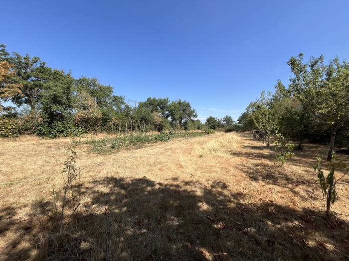 Joli pavillon au calme à vendre - Bressuire Maison|Maison